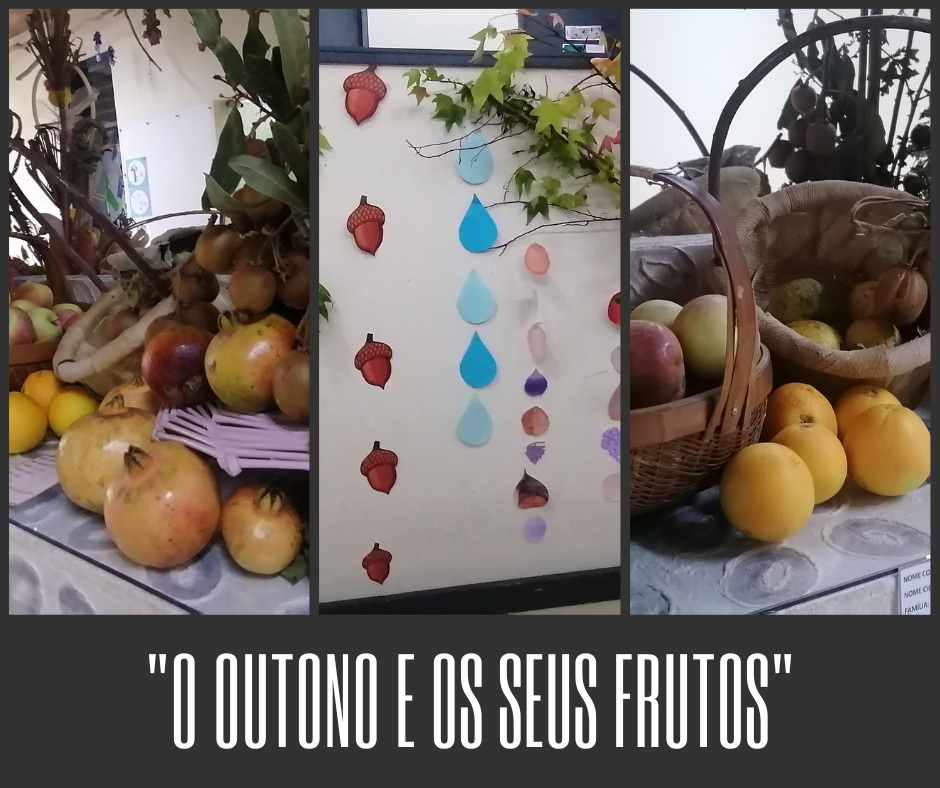 O outono e seus frutos